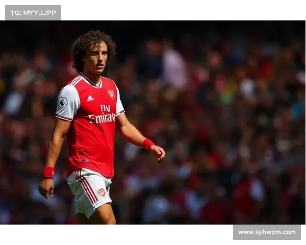 大卫路易斯最佳位置分析：前卫与后卫的选择与平衡