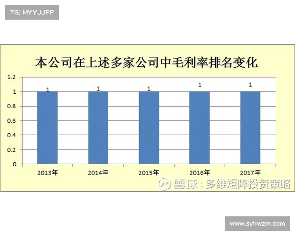 如何全面评估卢库米转会市场价值的多维度因素分析